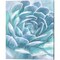 Aqua Succulent by Ramona Murdock 12" x 15" Canvas Wall Art (Set of 2)